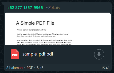 Send PDF